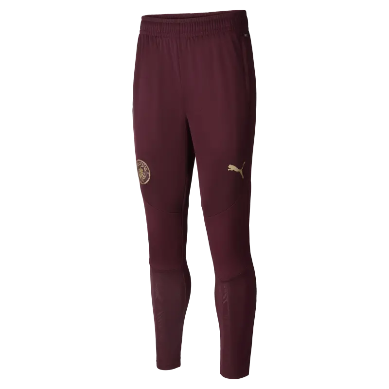 Explore Manchester City manchester-city-training-pants-701235040-burgundy Jerseys - ManchesterCityshirt.co.uk