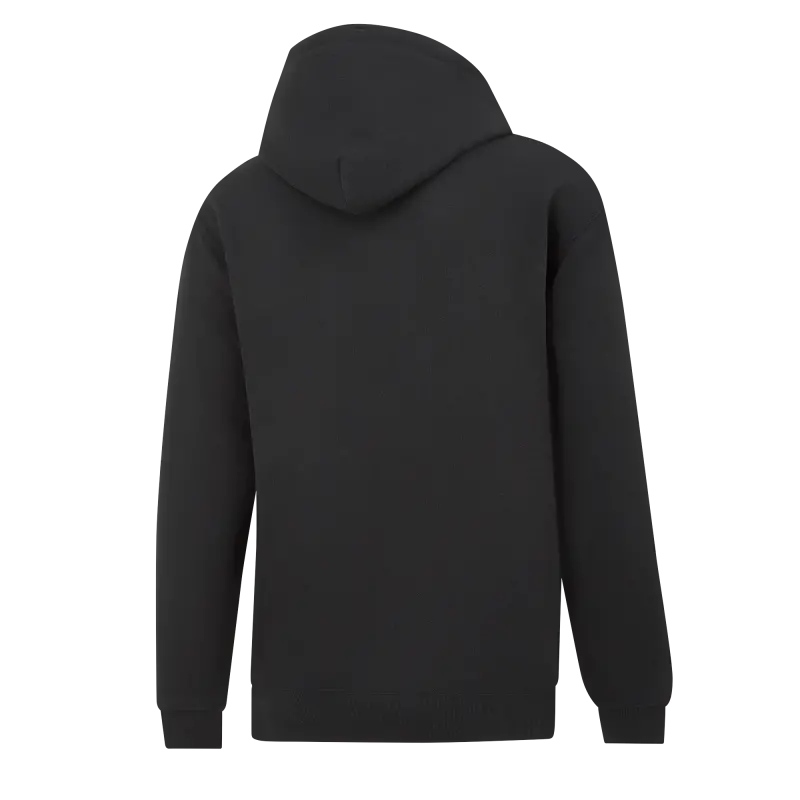 Explore Manchester City manchester-city-x-oasis-logo-hoody-701238225-black Jerseys - ManchesterCityshirt.co.uk